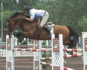 Le Cavalier Jumping